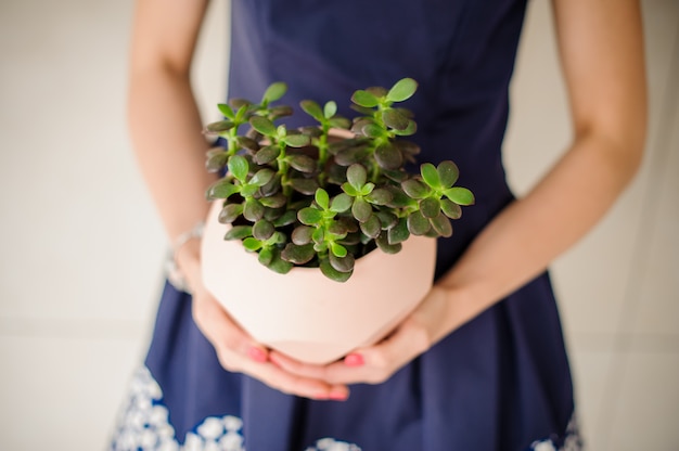 女性は緑の家の花とポットを保持しています