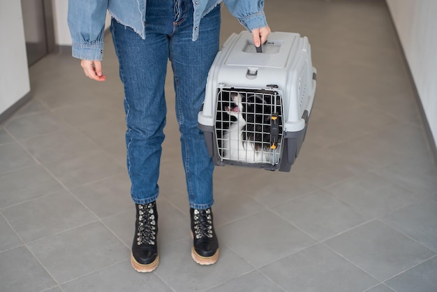 A woman is holding a travel cage with a dog inside Holidays with a pet Papillon dog butterfly