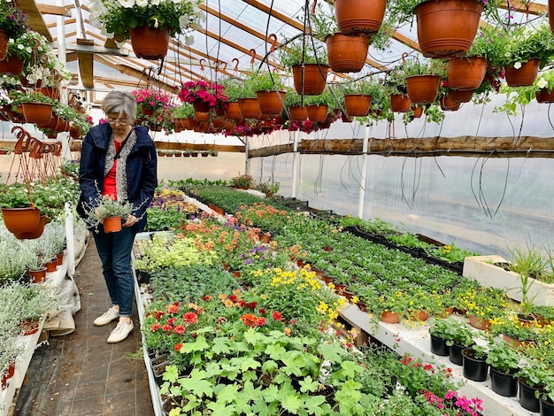 A woman is looking at a potted plant in a greenhouse.