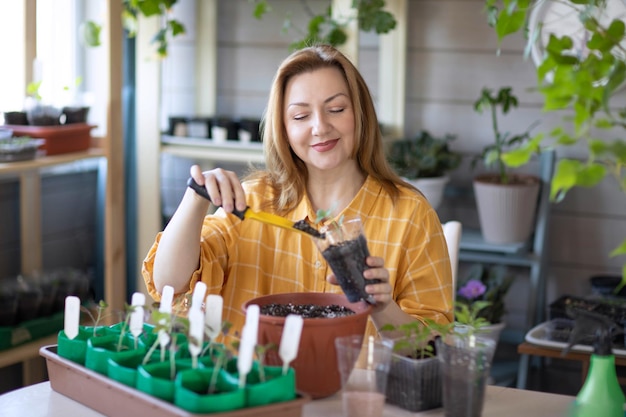 女性が庭の季節に備えてトマトの苗を選んでいます