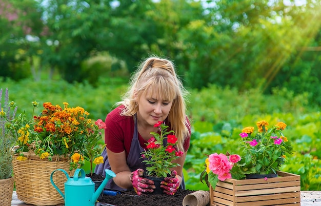 女性が庭に花を植えている セレクティブ フォーカス