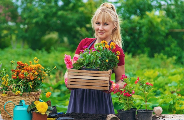 Una donna sta piantando fiori in giardino messa a fuoco selettiva