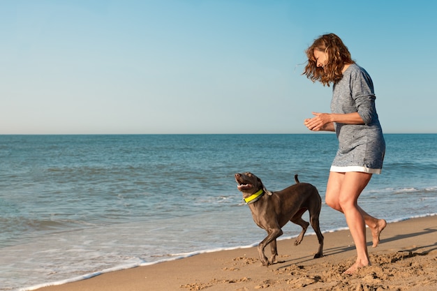 女性はビーチで犬と遊んでいます。