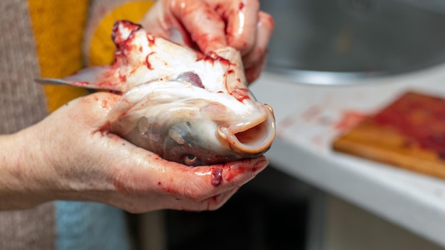 A woman in the kitchen holds the head of a large fish in her hands for cooking