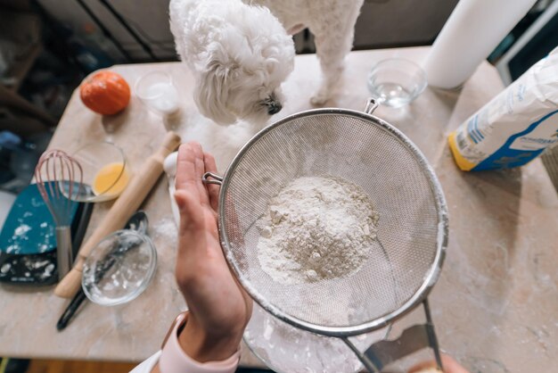 Foto la donna in cucina setaccia la farina insieme a un cane