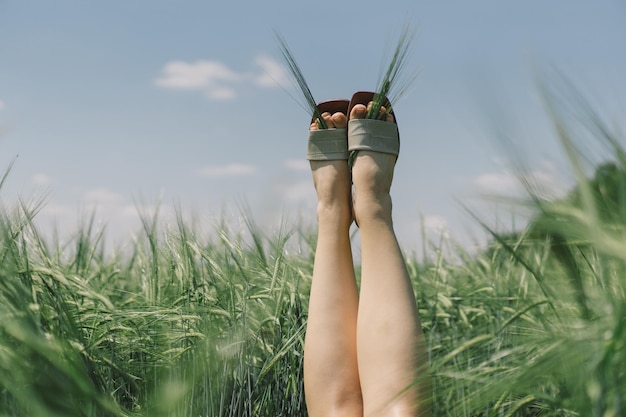 Woman legs in open shoes in a green barley field Summer countryside close up Atmospheric moment Young female relaxing in a green barley field Rural simple life