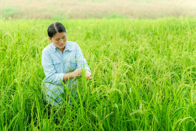 Woman looking at rice paddy on farm