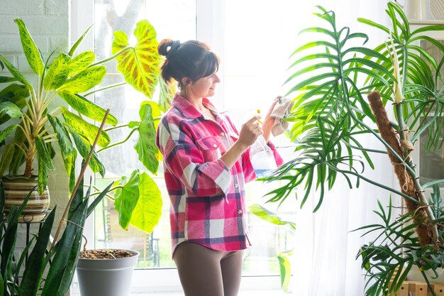woman manually washes the window of the house with rag cleaner and mop inside the interior with home plants restoring order and cleanliness in the spring cleaning servise
