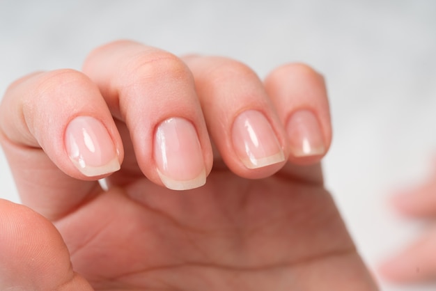 Woman in a nail salon receiving a manicure by a beautician with\
nail file beauty and hand care