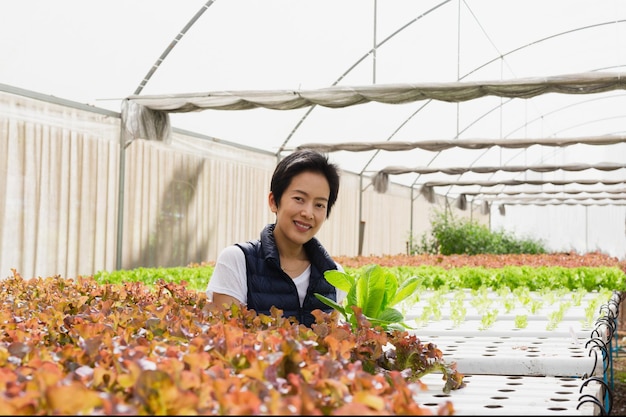 緑のレタスを持つ庭の女性所有者