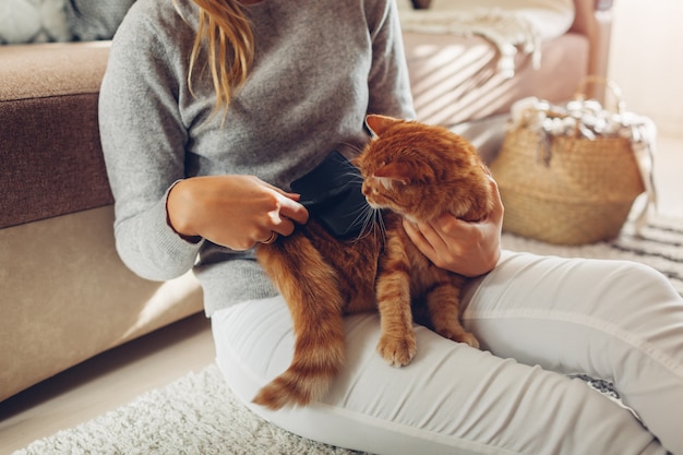 Woman owner taking care of pet to remove hair. Clean animals