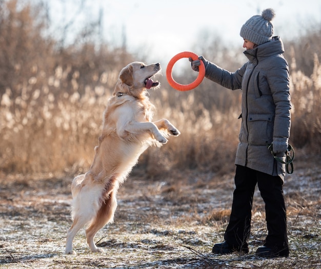 自然の中でオレンジ色のおもちゃの輪でゴールデンレトリバー犬を訓練するコートと帽子を身に着けている女性の所有者...