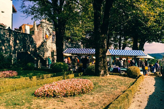 Photo woman in park