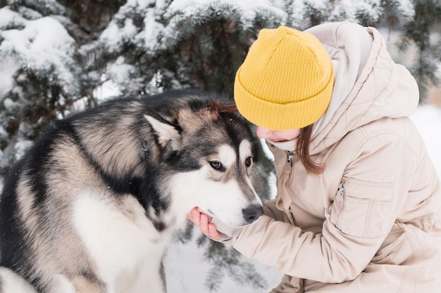 Woman pet with love Alaskan malamute in winter forest. close up.