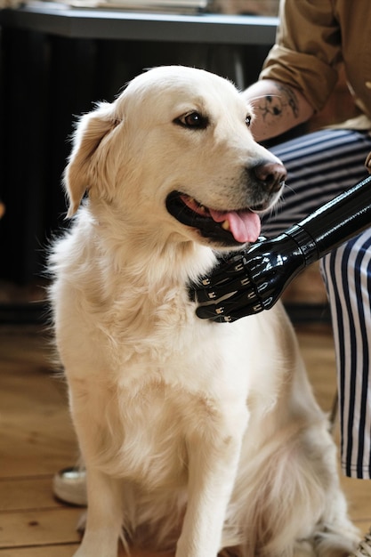 Woman petting her golden retriever