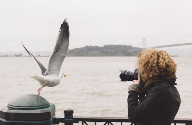 Женщина фотографирует чайку с помощью dslr на реке на фоне ясного неба