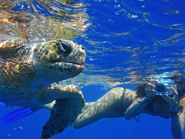 Foto donna che fotografia una tartaruga che nuota in mare