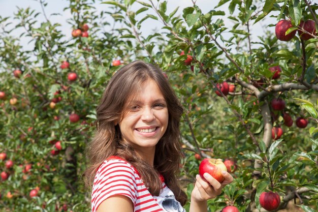 Woman picking apples 