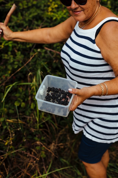 Woman picking wild blackberries