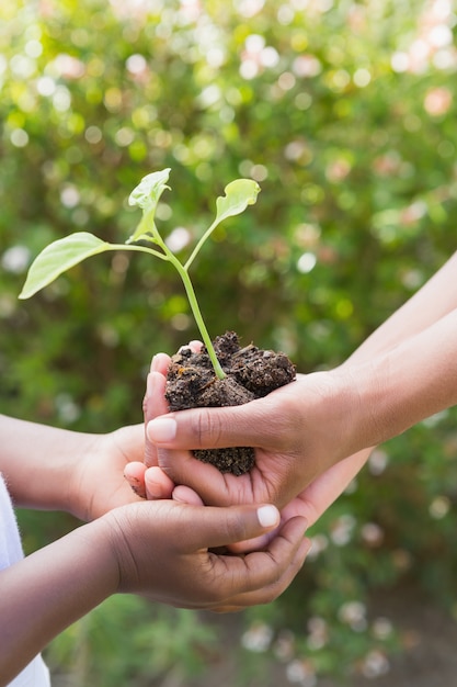 A woman plant a flower with a child 