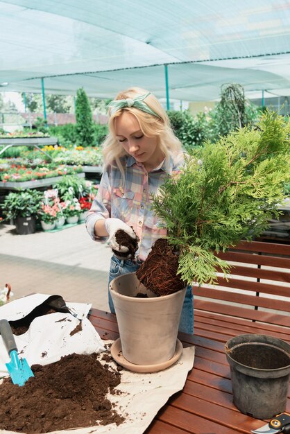 Woman planting a bush in flower pot using dirt in garden center