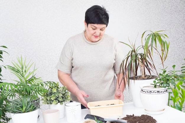 A woman planting flower seedlings and watching on it Horizontal view