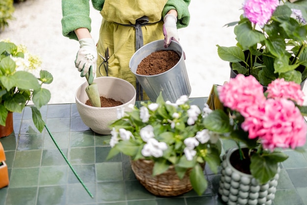 屋外のテーブルのポットに花を植える女性