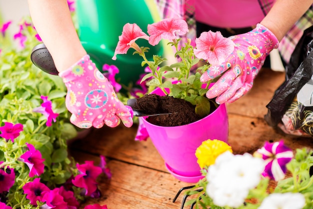 花を植える女性