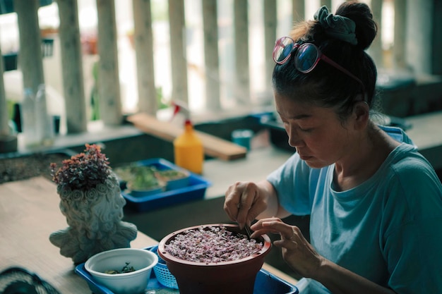 自宅のリビングテラスで小さな植物を植える女性