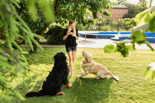 사진 강아지 래브라도 및 sennenhund 야외 공원에서 노는 여자