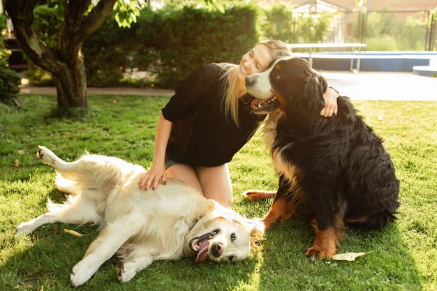 Woman playing with dog Labrador and Sennenhund outdoors in park