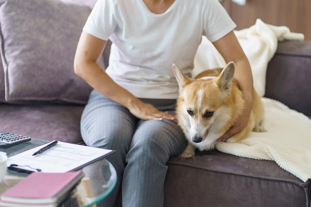 Женщина играет со своей собакой дома прекрасный корги на диване в гостиной
