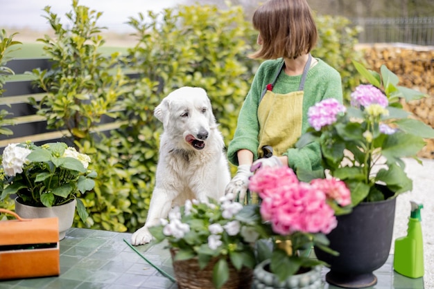 庭の花の世話をしながら白い犬と遊ぶ女性