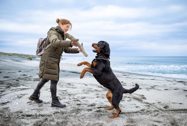 Woman playing with rottweiler dog in cold weather on the beach