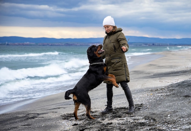 Woman playing with rottweiler dog in cold weather on the beach