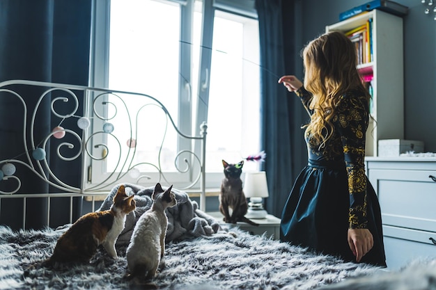 ベッドの上で 3 匹のデボンレックス猫と遊ぶ女性