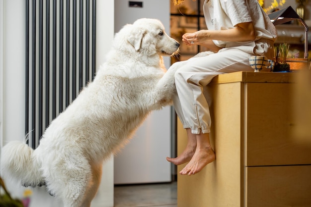 自宅のキッチンで犬と遊ぶ女性