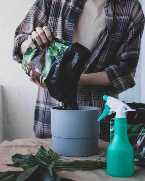 若い芽を植える準備をするために、女性が土を鍋に注ぎます