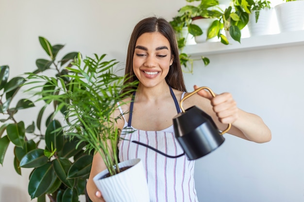 女性は植木鉢に水を注ぎ、観葉植物の世話をします。彼女の植物に水をまく若い女性