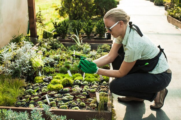 Woman prepares pots in the flower outdoor market