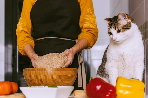 甘い猫と一緒においしいピザを作る女性。自家製のコンセプト。