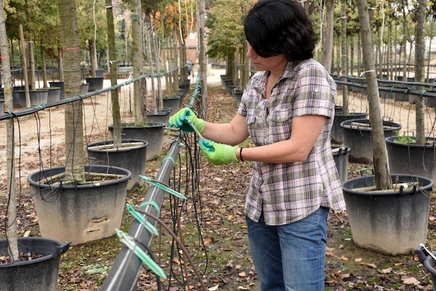 Woman preparing a drip irrigation in a gardening center