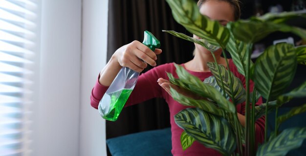 写真 女性が自宅のクローズアップでスプレーボトルからポットに緑の植物に液体を吹き込んでいる