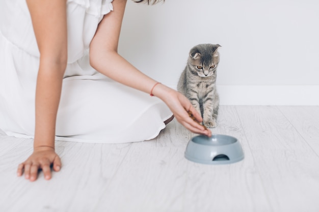 女、猫、食べ物、ボウル