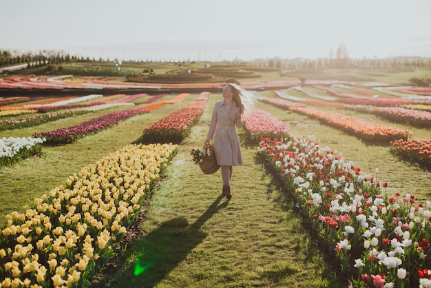 Woman in a raincoat at sunrise among the rows of tulips