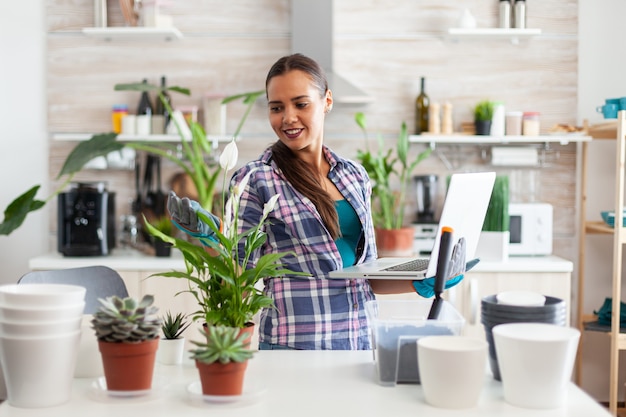 Woman reading about her flowers on internet using laptop in kitchen