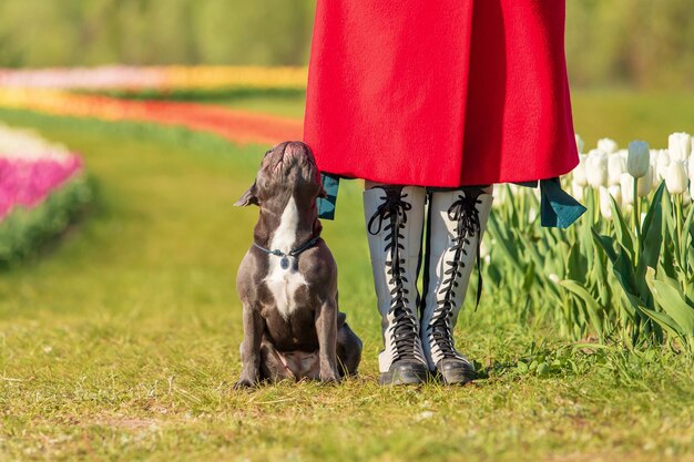 A woman in a red skirt and a dog in a field