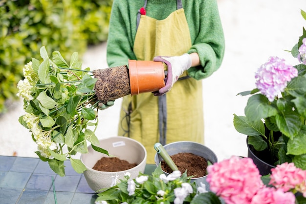 屋外で花を植え替える女性のクローズアップ