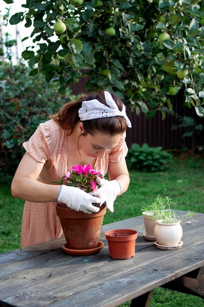 Photo a woman replants an impatiens in a new pot