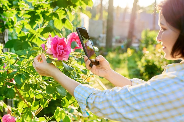 Woman resting in spring garden photographing on smartphone blooming rose bush